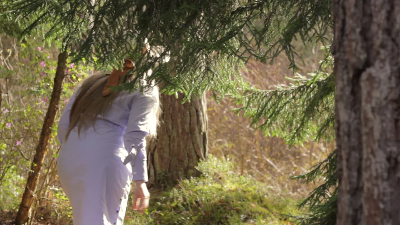 덴마크 생태 지역 숲에서 그녀의 길을 찾는 표류 여성