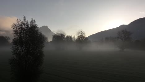 misty morning light filters over trees and fields near walensee, switzerland