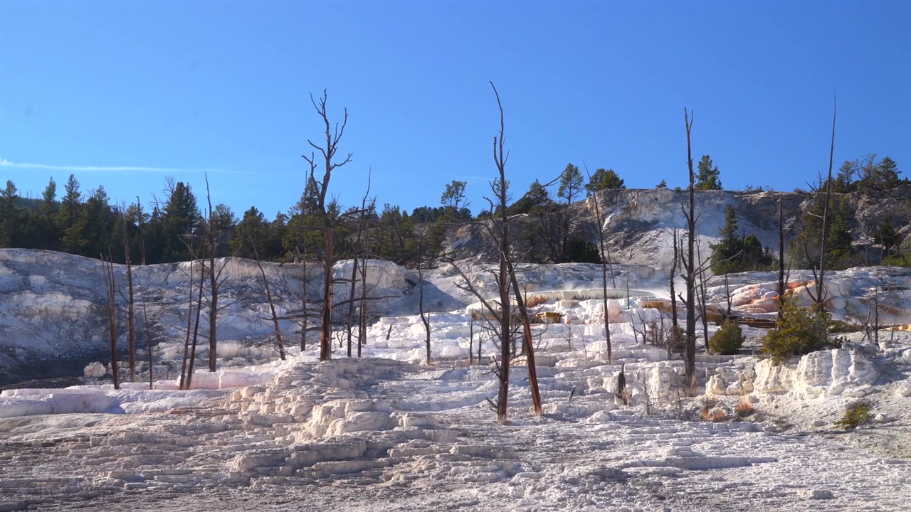 Mammoth Kaplıcaları Terasları kireçtaşı doğal manzarası Yellowstone Milli Parkı Wyoming Sonbahar öğleden sonra güneşli mavi gökyüzü Madison Kavşağı Roosevelt jeotermal kaplıcalar buhar panoraması