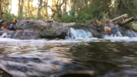 underwater video of a small stream when flows over the rocks