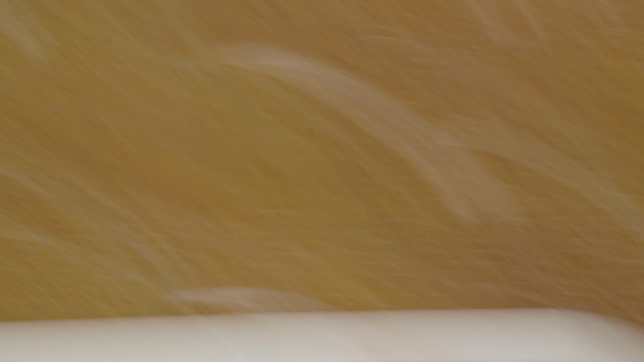 abstracto colorido movimiento fondo borroso