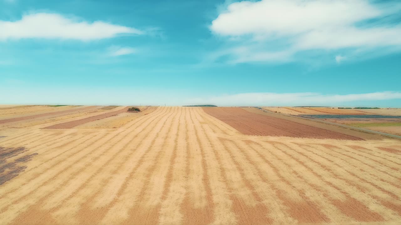 increíble cosecha plana recta y campo agrícola de paja dorada y trigo amarillo preparado para la agricultura pila.