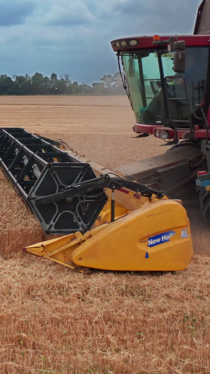 Big mchine for gathering crops. Big agricultural combine harvesting on yellow wheat field. Vertical video