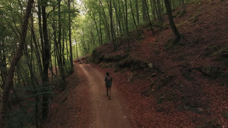 Lonely-traveler-walking-on-dense-forest-pathway,-aerial-back-view