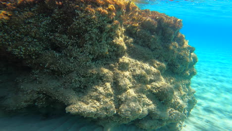 Imágenes-De-Una-Cámara-De-Acción-Submarina-De-Un-Coral-Hecho-De-Grandes-Rocas,-Grecia,-Verano