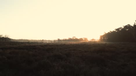 sunrise over a misty moorland