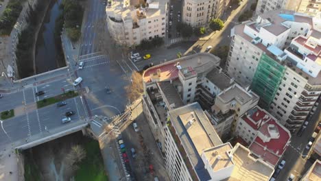 disparo de drone, inclinándose hacia arriba para ver palma de mallorca