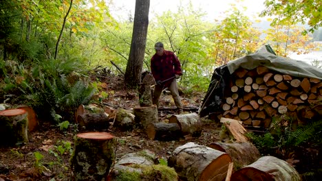 chopping firewood in a rainforest in bc with an axe