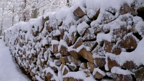 Walking-alongside-huge-piles-of-snow-covered-firewood-in-a-forest-during-winter-in-Bavaria,-Germany