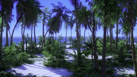 isla paradisíaca tropical