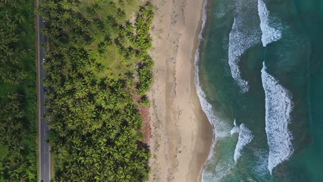 Top view of road and coconut plantation nearby Playa La Entrada in Cabrera, Trinidad Sanchez Province, Dominican Republic