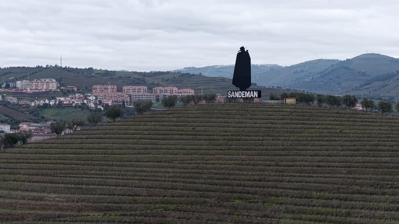Tenuta vinicola Sandeman con statua di Don, città di Regua sullo sfondo vicino al fiume Douro, ripresa aerea dall'alto