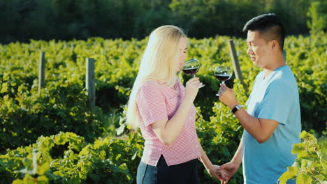 Multi-Ethnic-Couple-In-Love-Tasting-Wine-In-A-Vineyard-Holding-Hands-Honeymoon-And-Wine-Tour