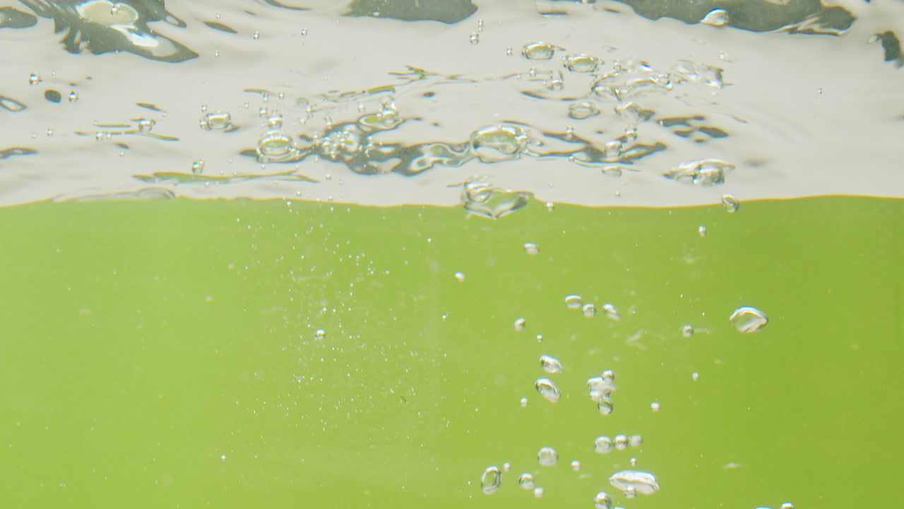 Fruit Splashing into Water