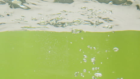 fruit splashing into water