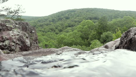 stream flowing on top of a waterfall in the forest