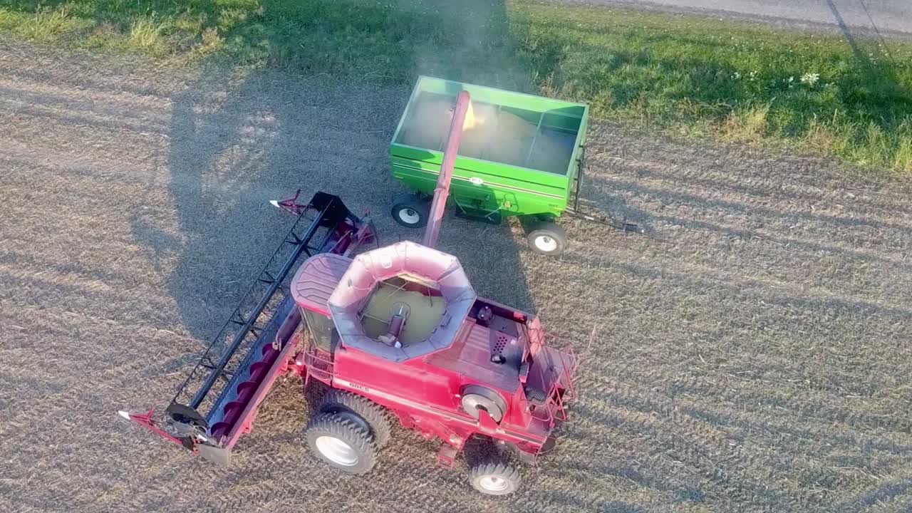 일몰 약 1시간 전에 녹색 수레에 콩을 내리는 빨간 콤바인 주변의 공중 드론 팬