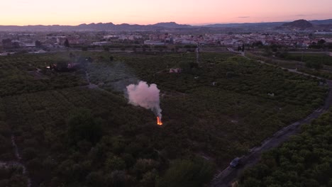 Fire-at-lemon-tree-agriculture-field