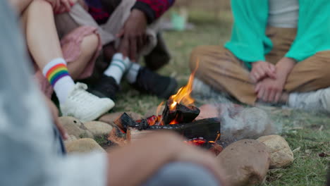 Camping,-Lagerfeuer-Und-Gruppe-Von-Freunden-Auf-Einer-Party