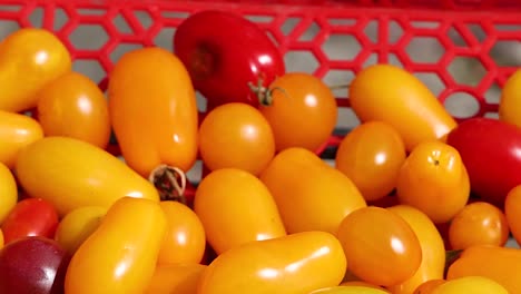 a close-up view of yellow and red tomatoes in a decorative red basket.
