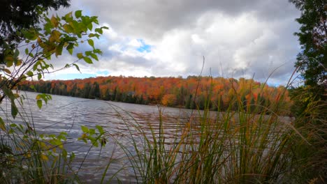 Gray-Clouds-over-Autumn-Lake-with-Red-Green-Trees-in-Background-4K