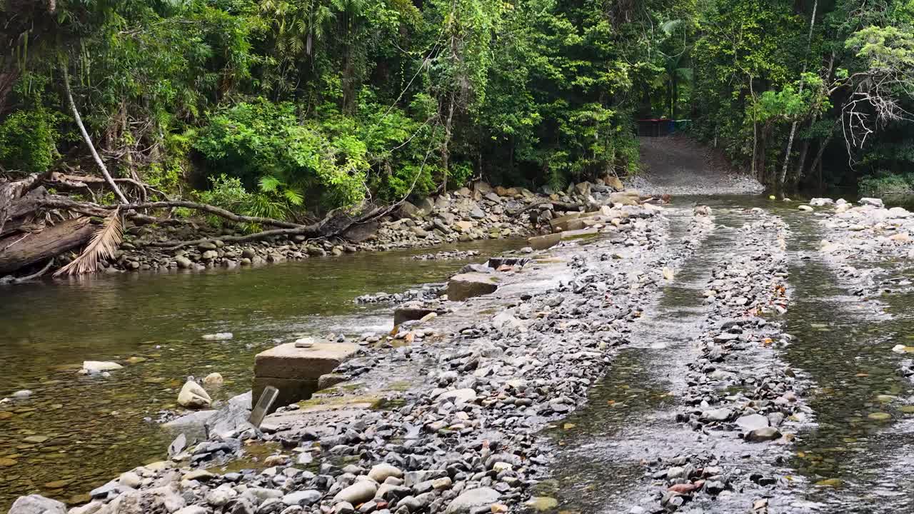A tranquil river crossing in a dense, green forest near Port Douglas, captured with smooth camera movement and natural lighting