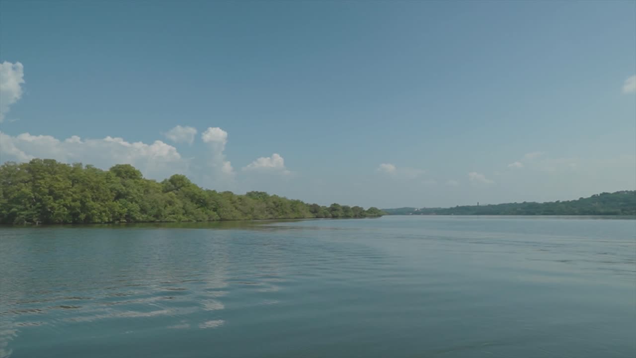 fotografía de un paseo en barco con aguas azules tranquilas, árboles verdes que hacen un paisaje sereno