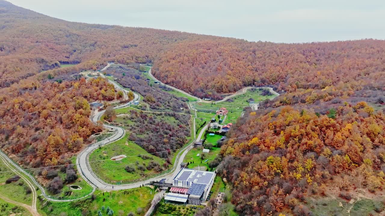 Aerial View of Forest Road in Autumn