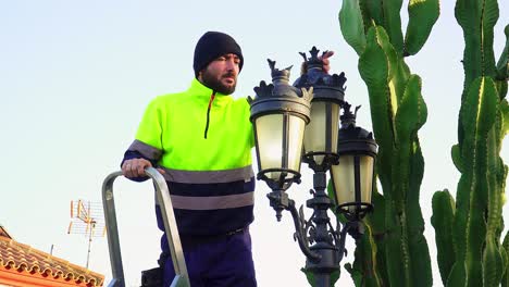 worker standing on ladder fixing beautiful vintage lantern near cactus plant