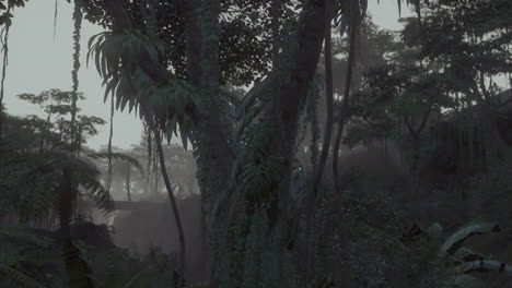 scene-looking-straight-into-a-dense-tropical-rain-forest