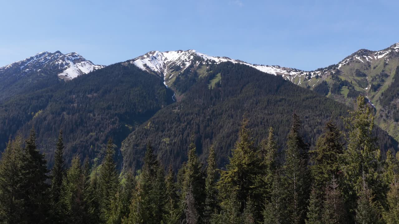 Majestic Snow-Capped Mountains and Dense Forests Under Clear Blue Skies in British Columbia