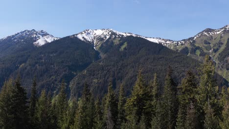 majestic snow-capped mountains and dense forests under clear blue skies in british columbia