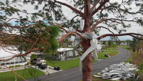 4k drone video of aluminum debris lodged in pine tree from hurricane ian in north port, fl - 05