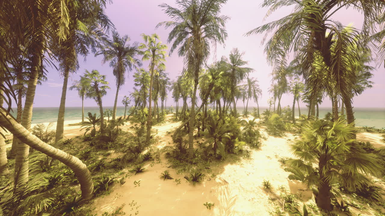 Lush tropical island with palm trees and sandy beach near the ocean