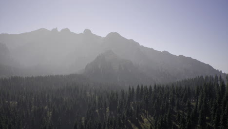 scenic view of mountains surrounded by dense evergreen forest during daytime