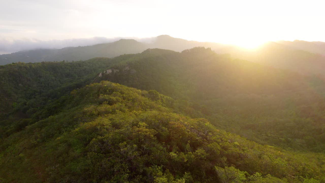 Golden sunset casts light on lush tropical rainforest mountains, Macacona, Costa Rica