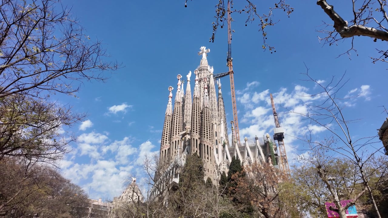 Torri della Sagrada Familia incorniciate da rami d'albero contro il cielo blu a Barcellona.