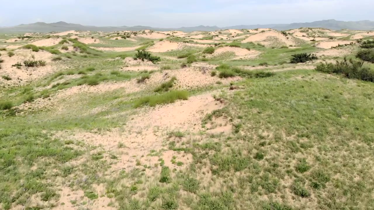 Vista aérea de dunas de arena ondulantes y praderas verdes en Mongolia