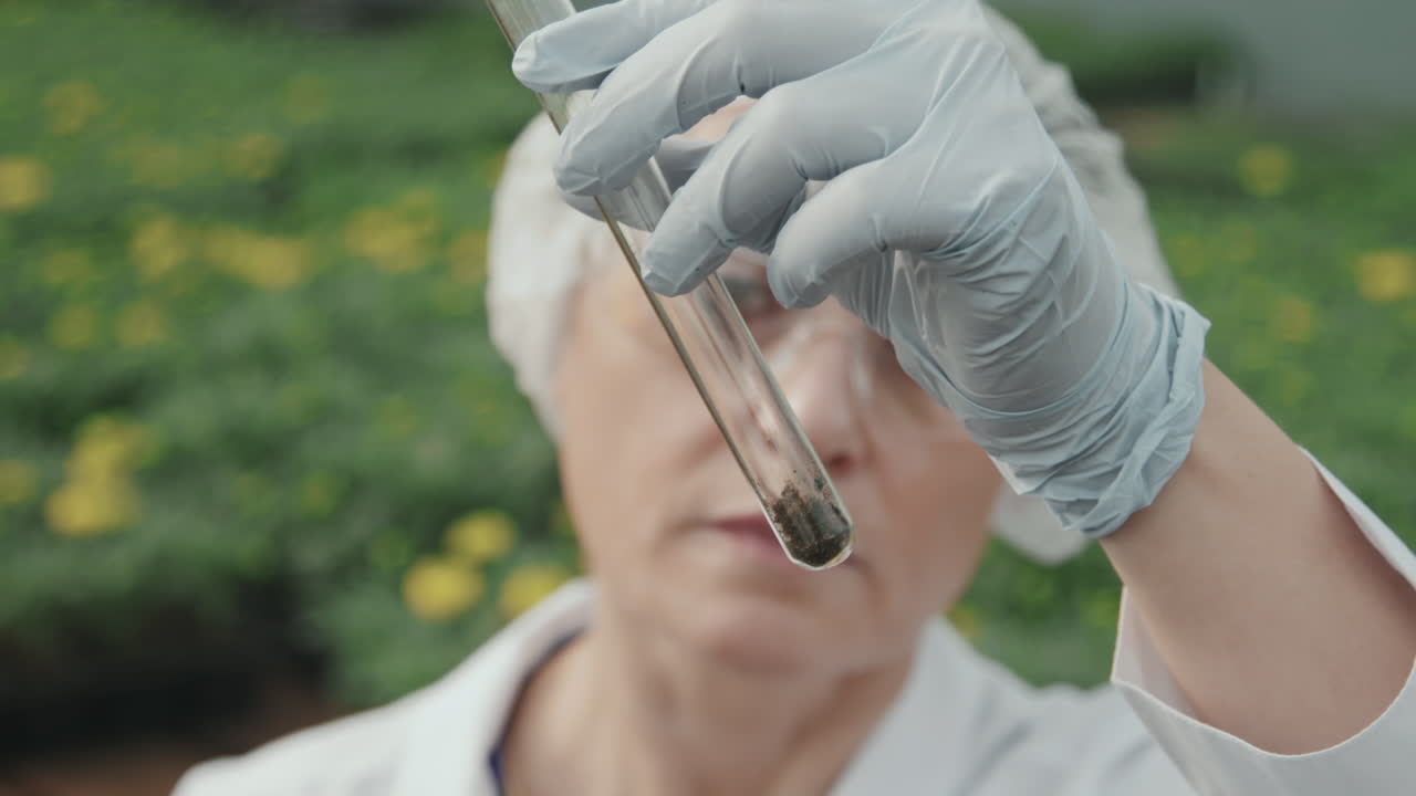 Scienziato agrario che osserva una provetta con un campione di terreno
