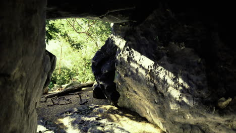 exploring a natural cave in a lush forest during daylight hours