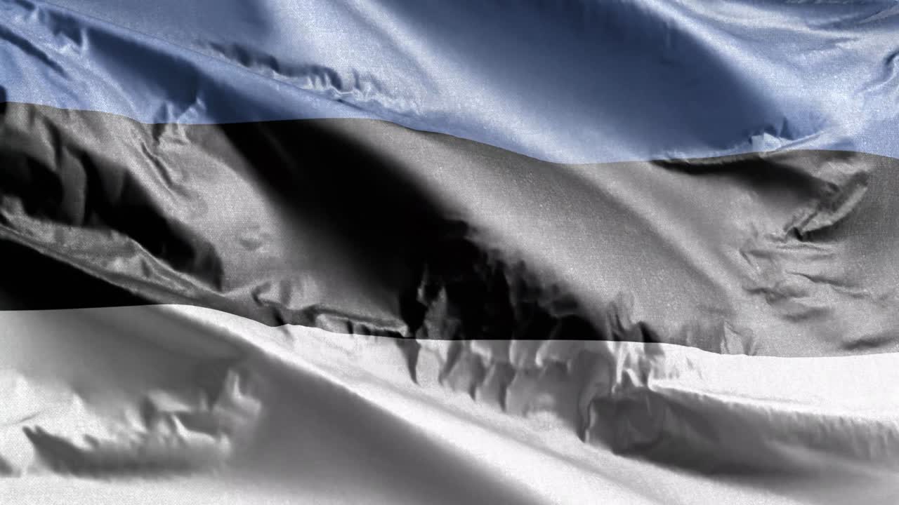 에스토니아의 섬유 발이 바람에 흔들리며, 에스토니아 발은 바람에서 흔들리고, 직물 섬유 조직은 완전히 채우는 배경, 10 초 루프.