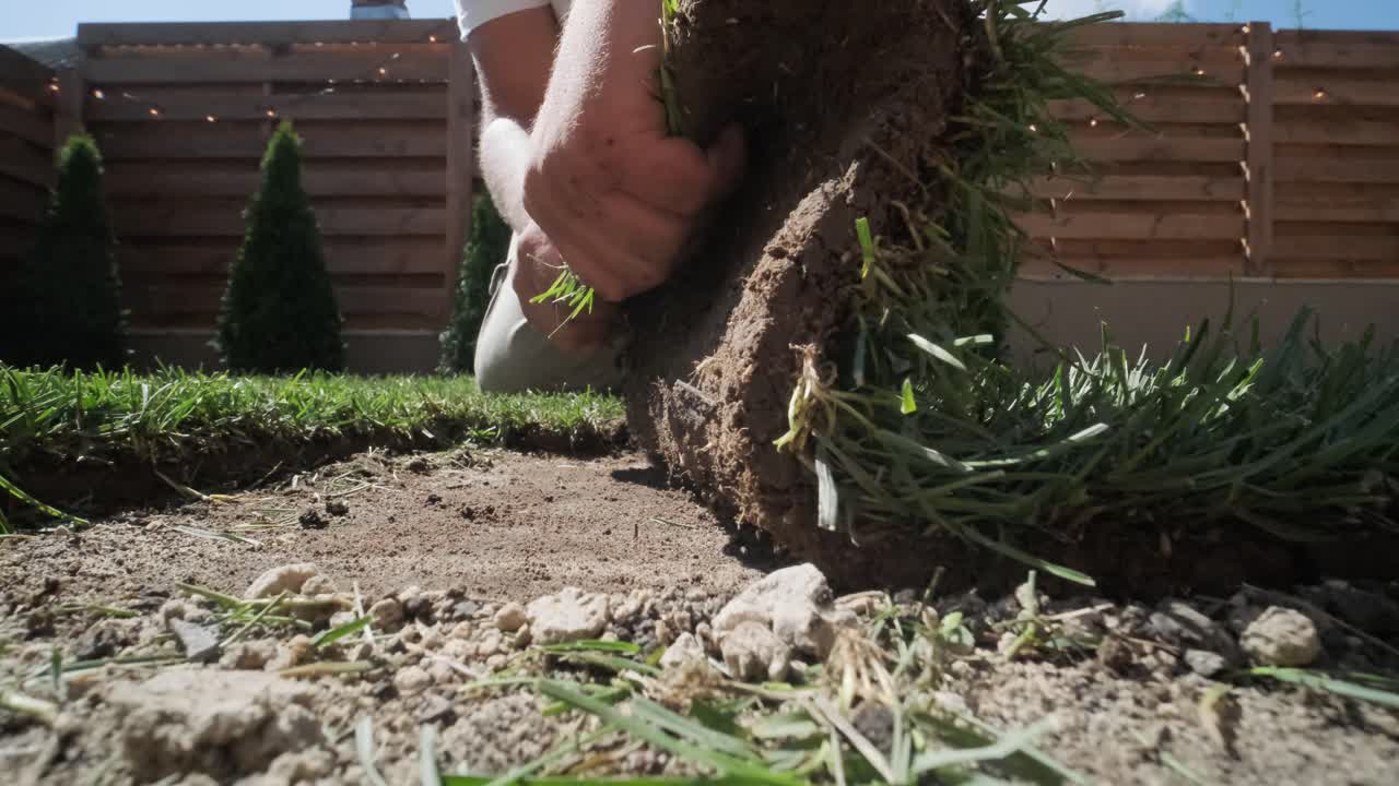 rollo de nuevo césped natural instalado por jardinero profesional. industria de jardinería.