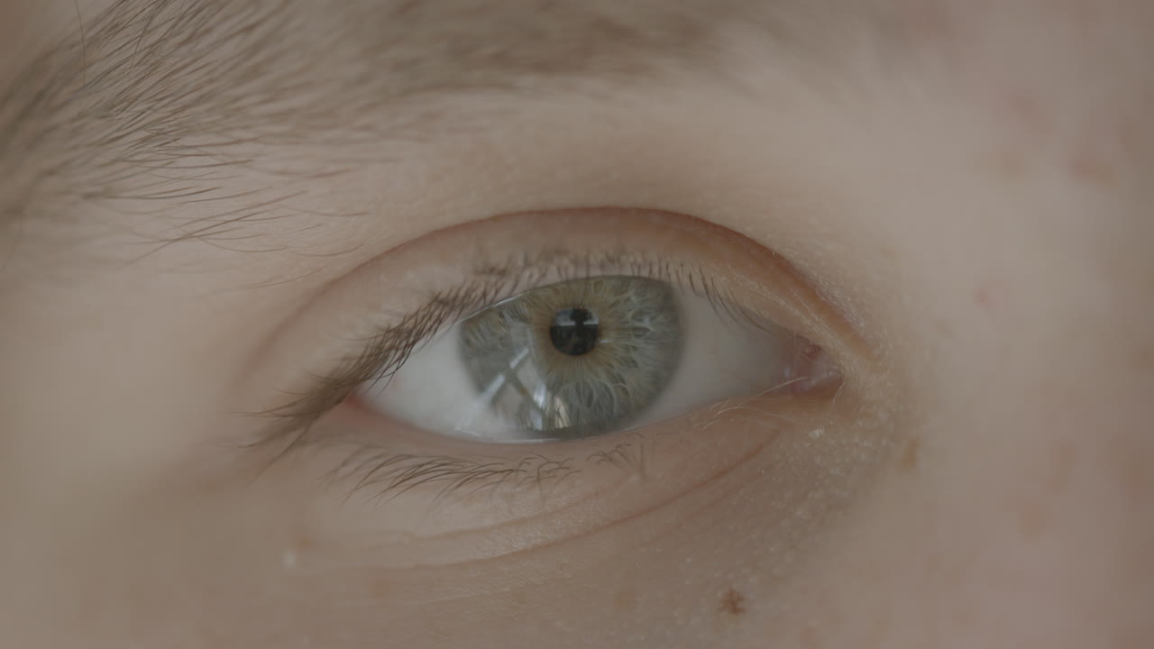 카메라를 들여다보는 10대 소년의 적갈색 눈의 근접 촬영