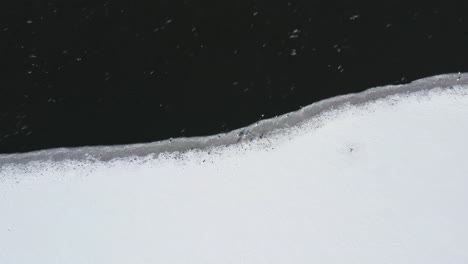 Snow-Covered-Part-Of-The-Bird-Island-Along-With-The-Ocean