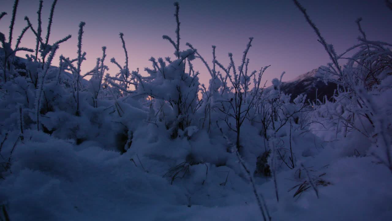 escena de invierno nevada al crepúsculo en el parque estatal de chugach, alaska