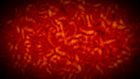 bacteria virus worms motion background loop