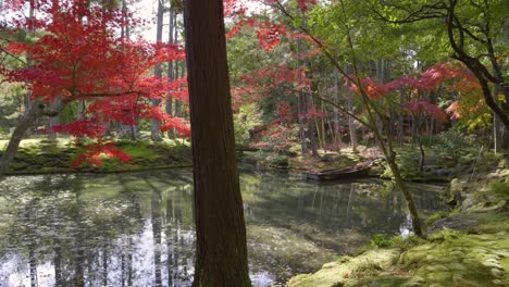 cinematic slow motion pan across landscape garden with pond and fall colors