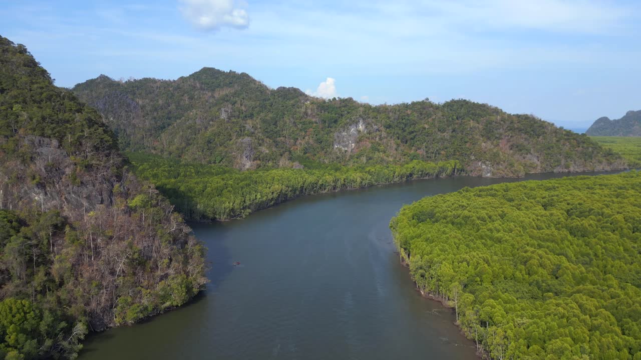 맹그로브 리버 힐스 말레이시아 랭카위