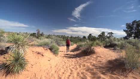 vista trasera de una mujer joven con mochila caminando en el desierto por un camino en la arena, vista amplia