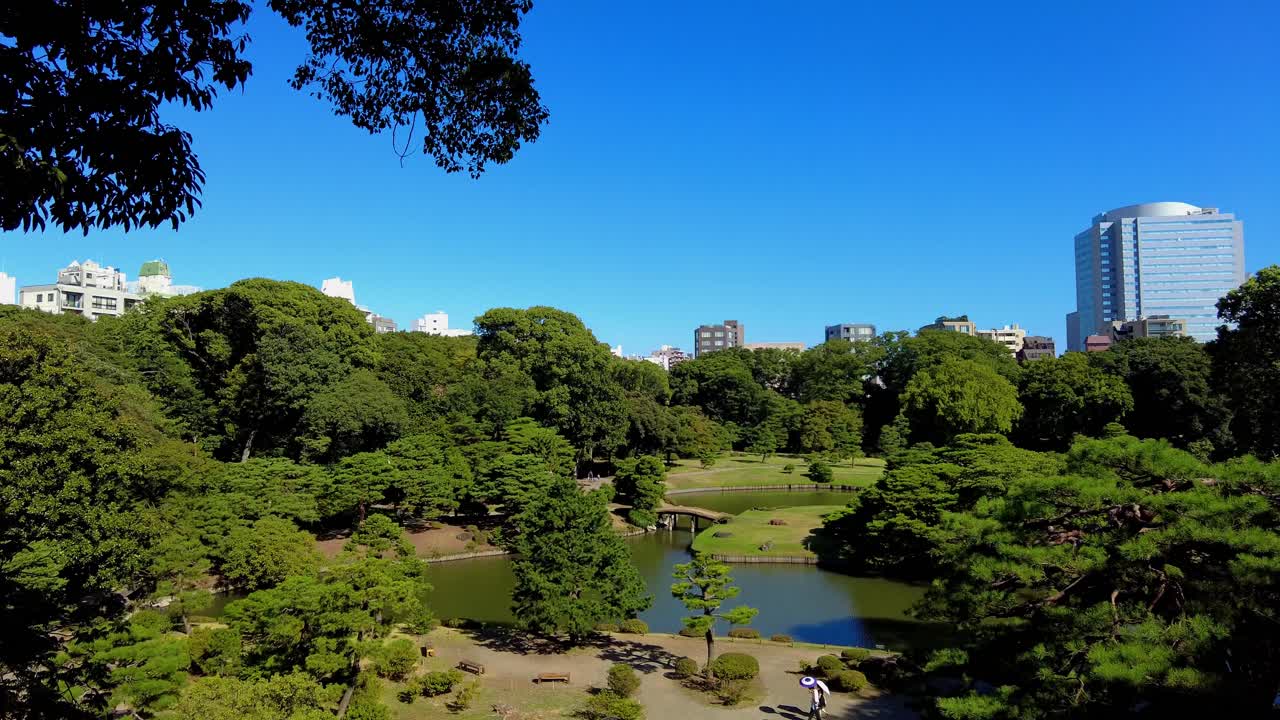el hermoso parque de tokio.